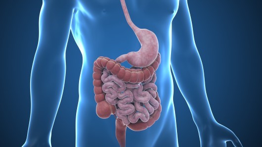 2018 Gastrointestinal (GI) Tumor Board (Occurs Weekly, Every Tuesday) Banner